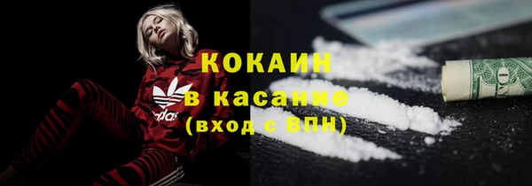 стаф Михайловск