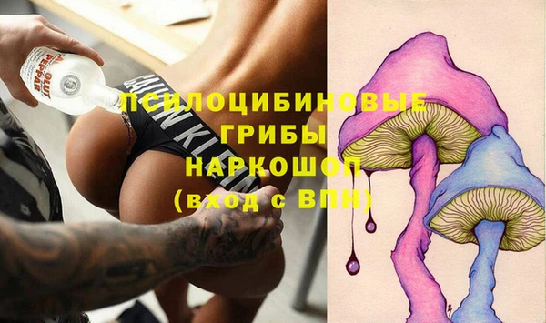 стаф Михайловск