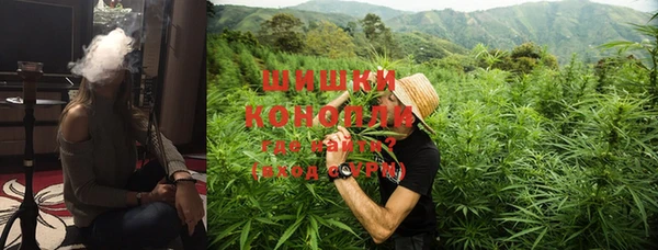 стаф Михайловск