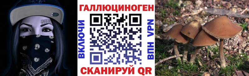 Купить закладки  Козельск  Псилоцибиновые грибы мухоморы 